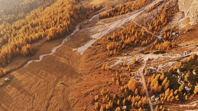 Picturesque yellow larches orange colored. Croda da Lago mountain at background, majestic landscape at autumn time.
