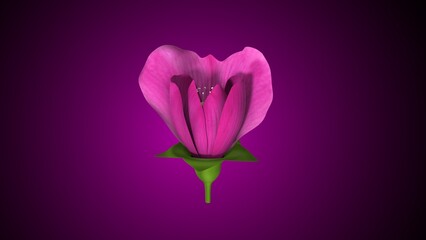 Pisum sativum anatomy with colorful background. 3d render