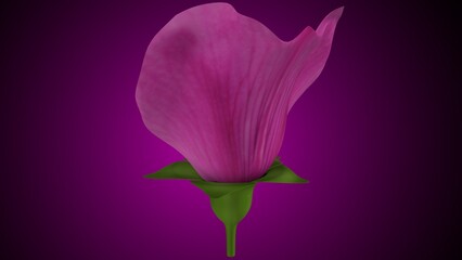 Pisum sativum anatomy with colorful background. 3d render