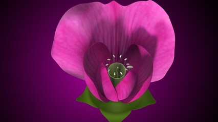 Pisum sativum anatomy with colorful background. 3d render