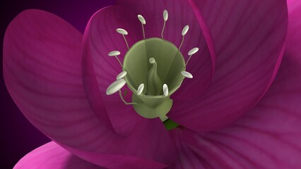 Pisum sativum anatomy with colorful background. 3d render