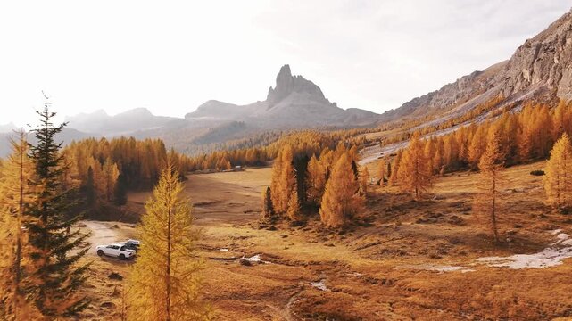 Picturesque yellow larches orange colored. Croda da Lago mountain at background, majestic landscape at autumn time.