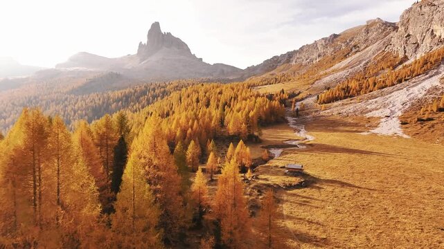 Picturesque yellow larches orange colored. Croda da Lago mountain at background, majestic landscape at autumn time.