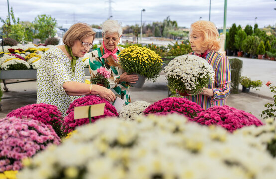 Senior women enjoying a shopping day at a flower market