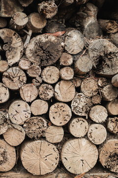 Natural texture of stacked tree trunks