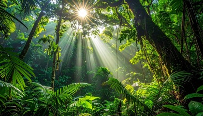 Naklejka premium Sunlit Serenity Tropical Rainforest Scene Lush Greenery Sunlight Through Canopy Nature's Beauty Peaceful Environment Bright Rays.