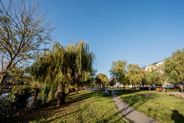 park in spring