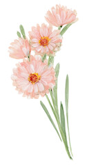 Loose Abstract Watercolor of Pale Pink Daisy