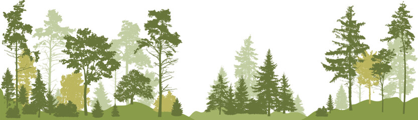 Autumn forest, silhouette of colored trees. Evergreen coniferous forest with pines, fir, spruce, christmas tree. (Every tree isolated, separate from each other, free-standing) Vector illustration