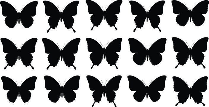 butterfly, silhouettes, set, collection, vector, illustration, black, insects, nature, wings, isolated, white, background, design, 
