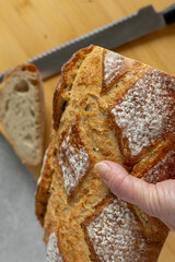 Hand holding fresh rustic bread loaf