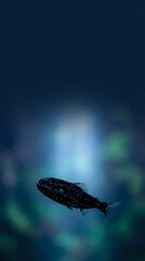 Obraz premium Whale silhouette swimming beneath northern lights aurora borealis in dark blue night sky with green glowing atmospheric phenomenon for nature designs.