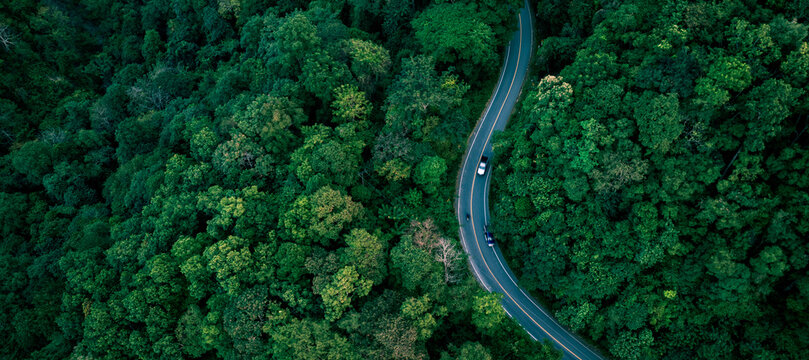 Forest road landscape showing sustainable travel and clean energy transportation concept for business marketing and modern eco technology presentations.