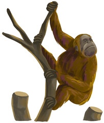 Orangutan hanging on Chopped Tree Deforestation © Daksina Capital