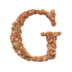 3D Ornamental Floral Letter G Covered with Peach and Cream Flowers on Transparent Background