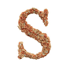 3D Ornamental Floral Letter S Covered with Peach and Cream Flowers on Transparent Background