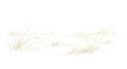 Fototapeta premium Minimalist beige grass tufts and botanical elements isolated on white background for nature design projects and organic branding materials.