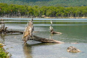 Fototapeta premium View of Escondido Lake patagonia in tierra del fuego argentina