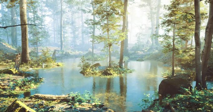 A serene forest unveils a calm pond surrounded by lush greenery. Morning light filters through the trees, creating a peaceful ambiance and reflecting off the waters surface.