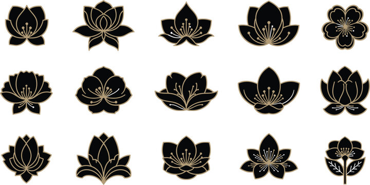 Black and gold floral on white background flowers lotus