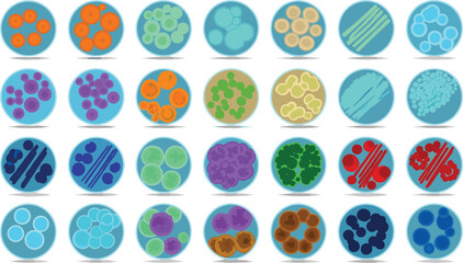 Microbiology Petri Dish Vector Set Featuring Colorful Bacteria Cultures, Cells, and Laboratory Samples for Science and Medical Research Designs