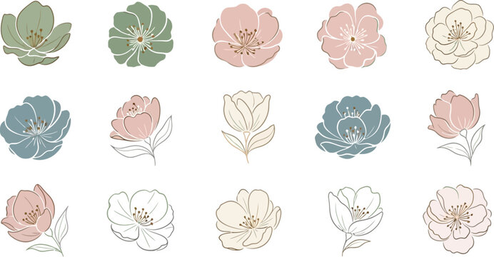 Various colored flower on white background flowers pastel colors green pink