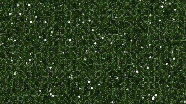 Aerial view of lush green grass with small white flowers scattered throughout the landscape.