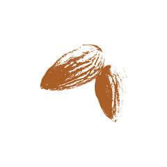 Hand Drawn Almond Nut Vector Clipart