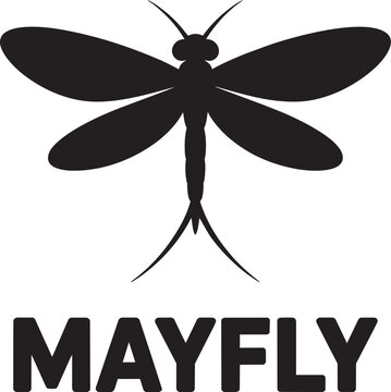 Black silhouette of mayfly insect on transparent background isolated graphic design element