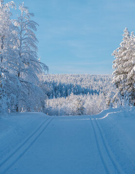 Winter wonderland in Akaslompolo Village with snow-covered trees and serene landscapes