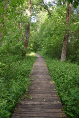 Obraz premium A path in the park, Québec, Canada