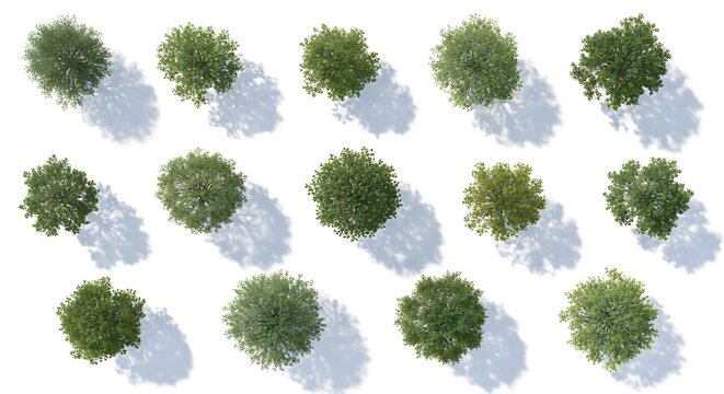 A collection of fifteen various green deciduous trees viewed from directly above casting soft shadows onto a clean white background perfect for design use
