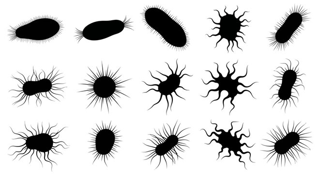 Bacteria and virus black silhouette icon collection. Includes various shapes of microorganisms, germs, microbes, and pathogens. Created in flat style with a monochrome palette.