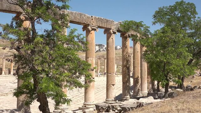 Exploring ancient Roman ruins in Jerash with tall columns and bright flowers on a clear day