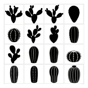 Cactus silhouette icon collection. Includes prickly pear, saguaro, barrel, and cereus cactus symbols. Created in solid black vector style with a monochrome palette.