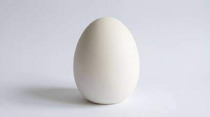 Minimal White Egg on White Background