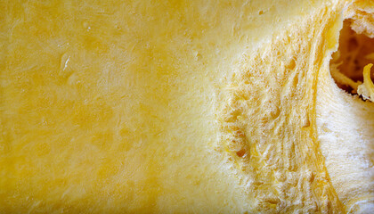 Macro close-up of fresh pumpkin cut in half, revealing yellow flesh, seed and natural fibrous texture inside