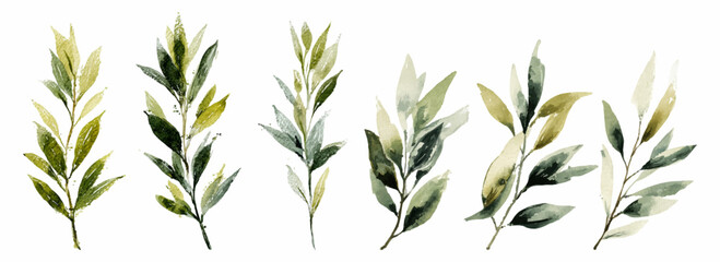 Delicate watercolor botanical set featuring green eucalyptus branches, fern leaves, and floral elements ideal for nature-inspired wedding designs. Vector illustration. © Narin