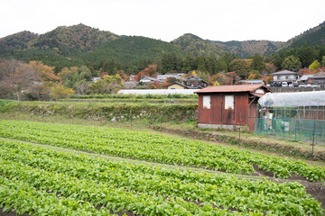 日本のノスタルジックな田舎風景