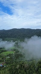 Fototapeta premium Drone aerial view of misty clouds floating over green forest and rural village in a mountainous landscape during early morning.