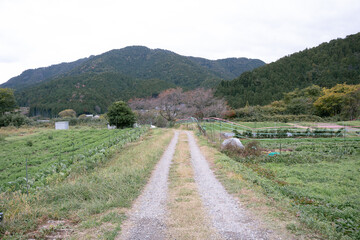 日本のノスタルジックな田舎風景