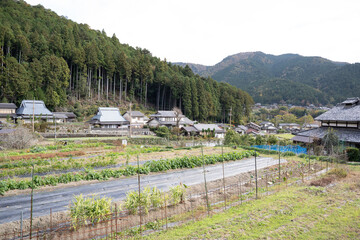 日本のノスタルジックな田舎風景