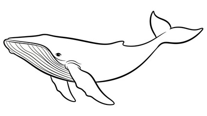 Line art illustration of a whale swimming © Parade
