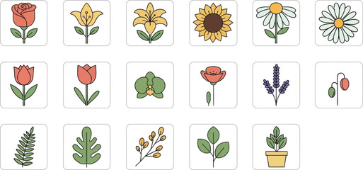 Colorful flower on white background flowers plants leaves rose lily