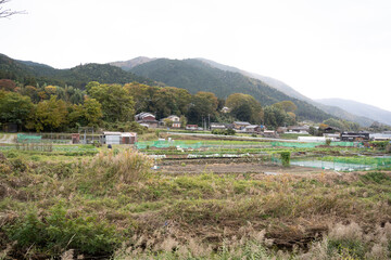 日本のノスタルジックな田舎風景