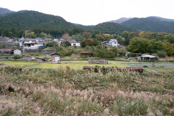 日本のノスタルジックな田舎風景