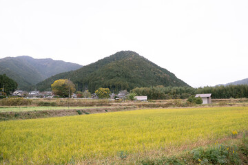 日本のノスタルジックな田舎風景