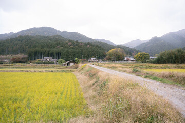 日本のノスタルジックな田舎風景