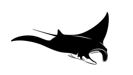 Black silhouette of a manta ray swimming on white background. © Marchell