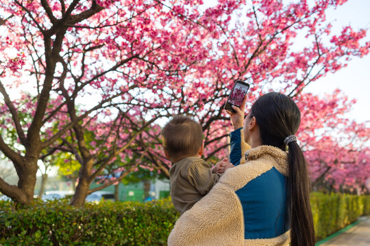 Mother holding baby taking photo of cherry blossom